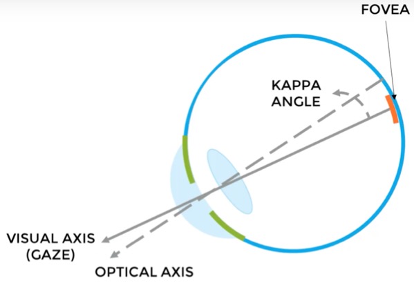 Eye-Gaze Detection Challenges